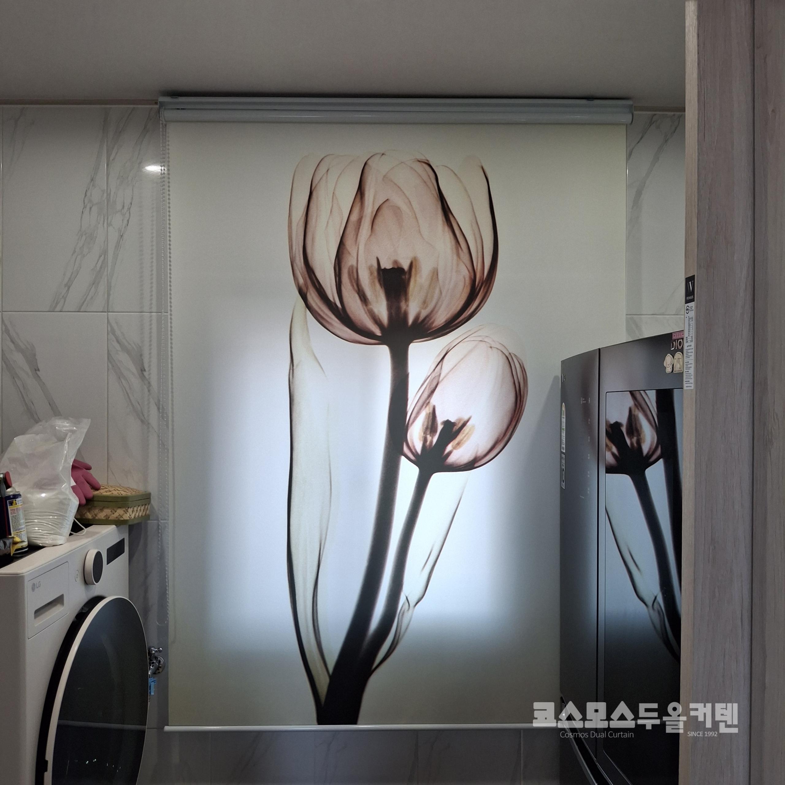 /user/c/cosmosdual/editor/2603/b190589a10a7b5914f73da0074fdfd89_1774572441_4619.jpg 이미지크게보기