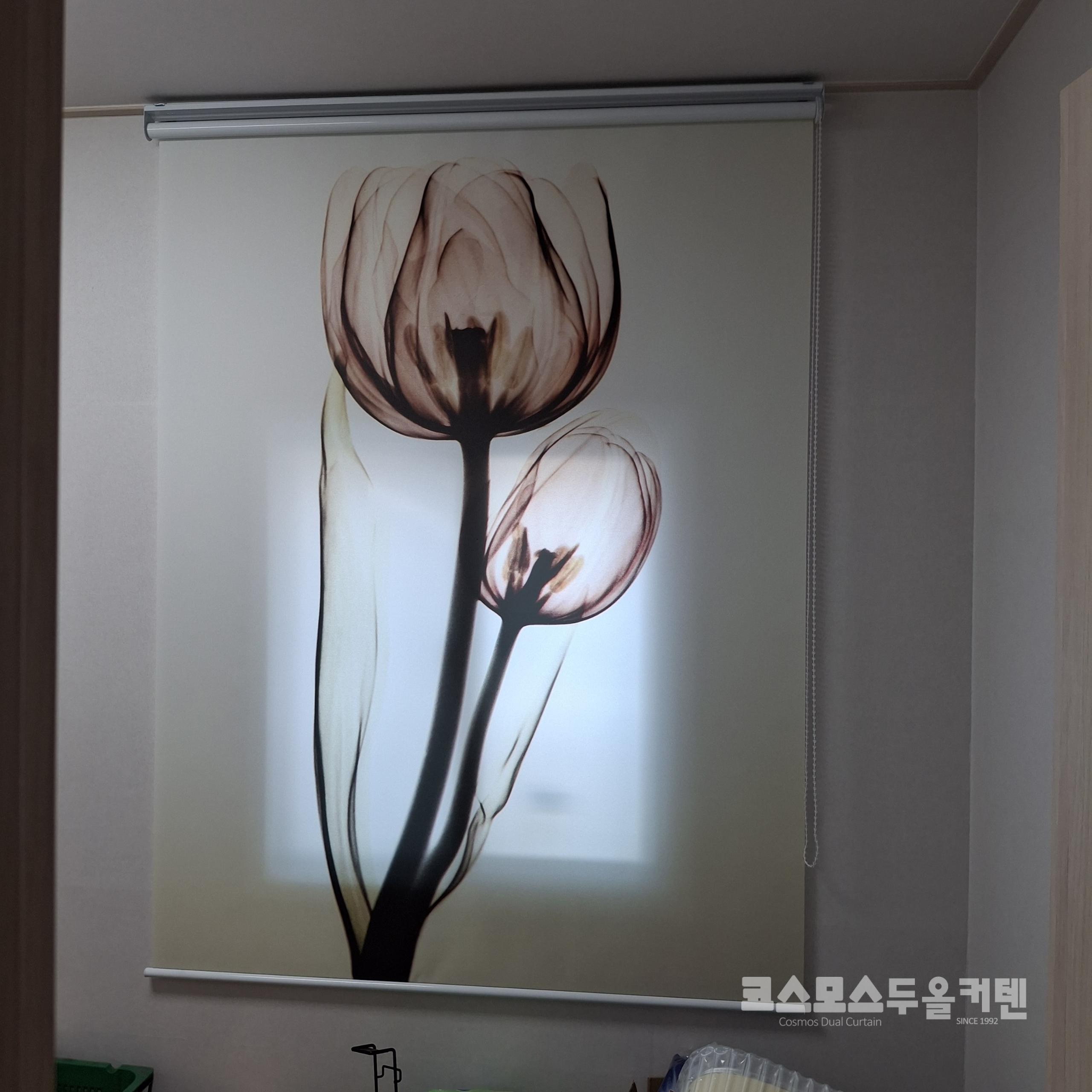 /user/c/cosmosdual/editor/2603/b190589a10a7b5914f73da0074fdfd89_1774572448_3994.jpg 이미지크게보기